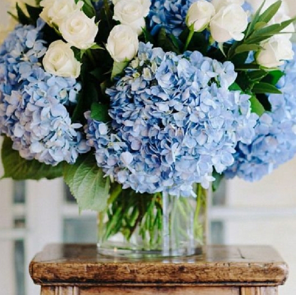 Meet your Posher, Poppy. - Picture 6 of 15